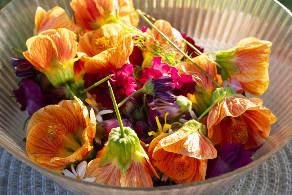 A ribbed glass bowl heaped with orange and magenta edible flowers, fresh from the garden