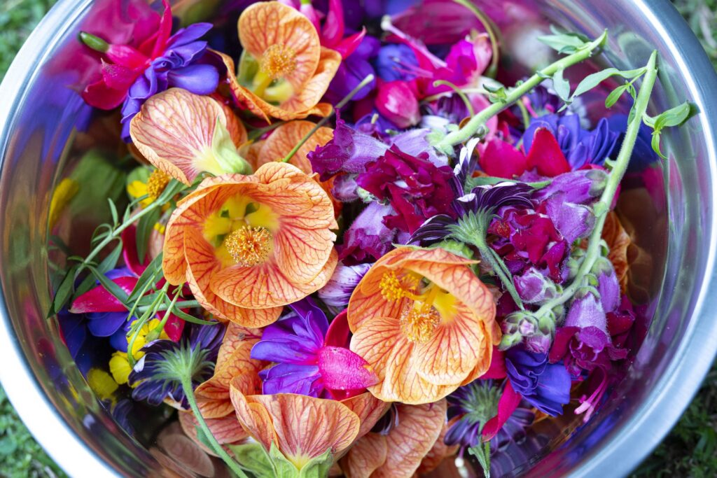 A glass bowl filled with edible flowers in orange, magenta and violet, picked from the garden